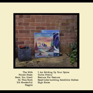 Non-Swimmer Album (CD)